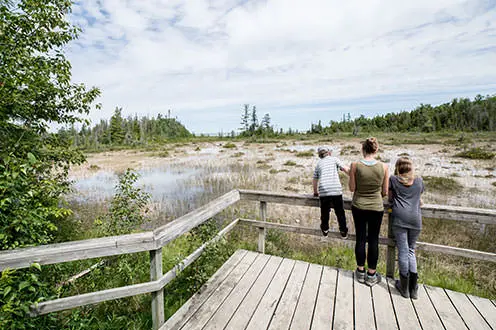 습지를 바라보는 산책로에 세 사람이 서 있습니다. 