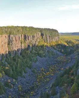 A wide canyon with many trees under a clear sky.