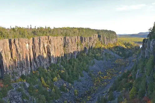 Ein breiter Canyon mit vielen Bäumen unter einem klaren Himmel.