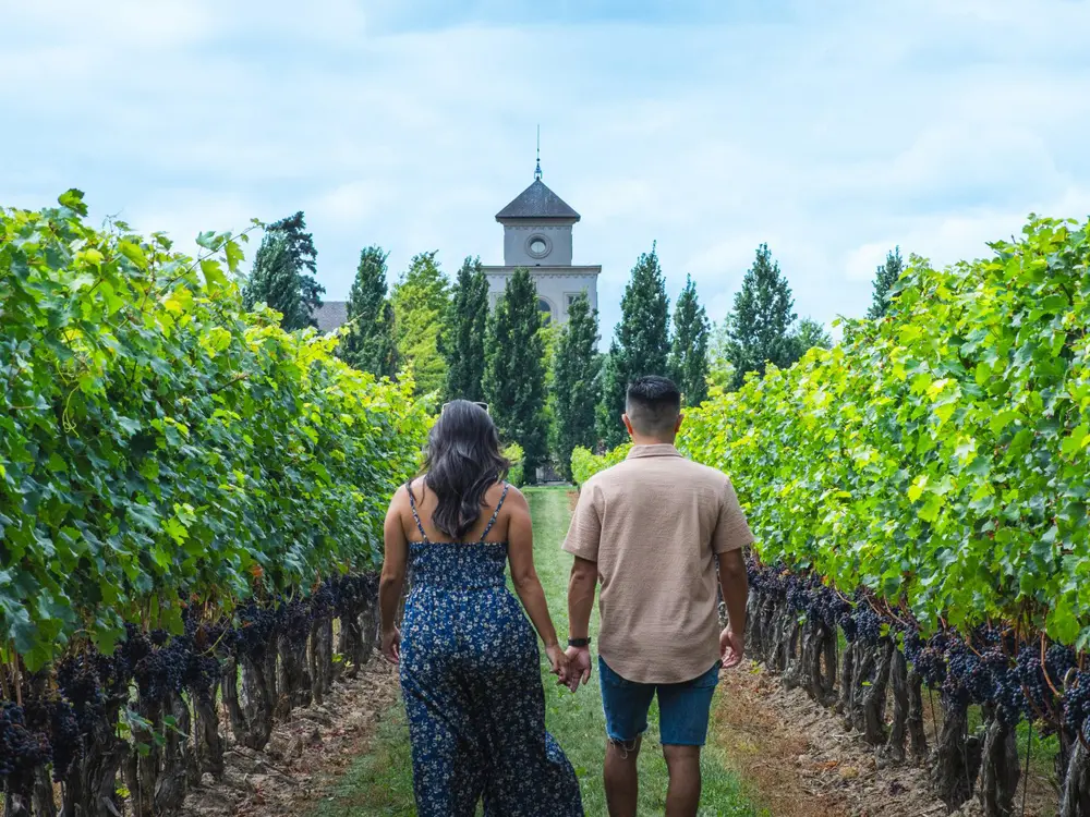 Una pareja camina por un viñedo en Two Sisters Winery en Niagara-on-the-Lake.