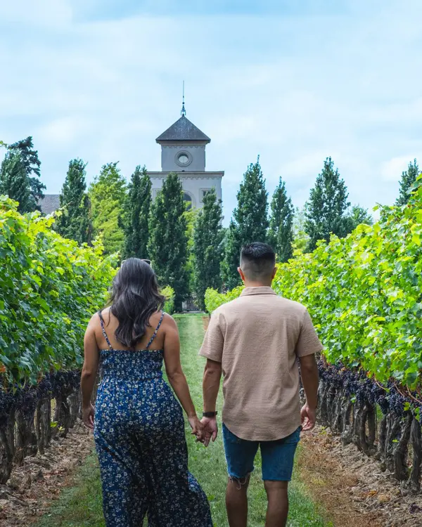 A couple walks through a vineyard at Two Sisters Winery in Niagara-on-the-Lake.
