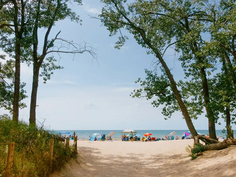 Sandbanks Provincial Park A sandy beach path framed by tall trees, leading to a busy lakeside shore dotted with colourful umbrellas under a clear sky.