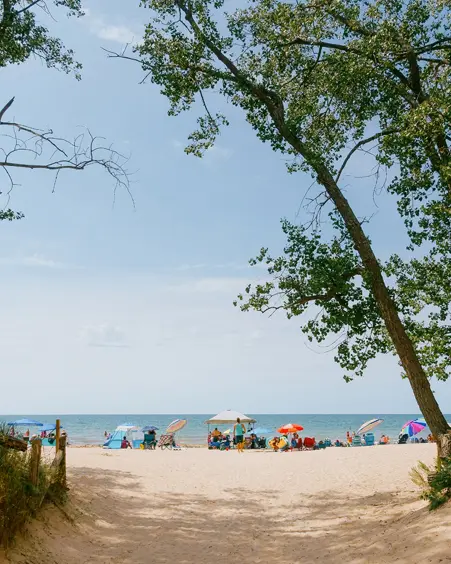 A sandy beach path framed by tall trees, leading to a busy lakeside shore dotted with colourful umbrellas under a clear sky.