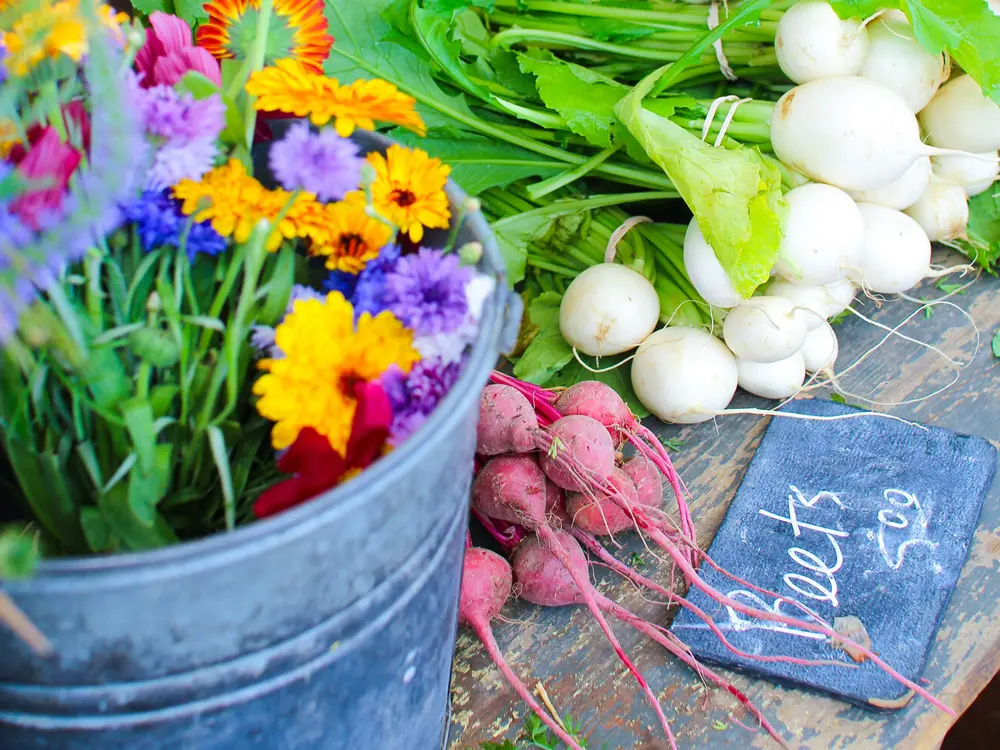 Fleurs fraîches, betteraves et oignons sur un marché fermier à Kingston.
