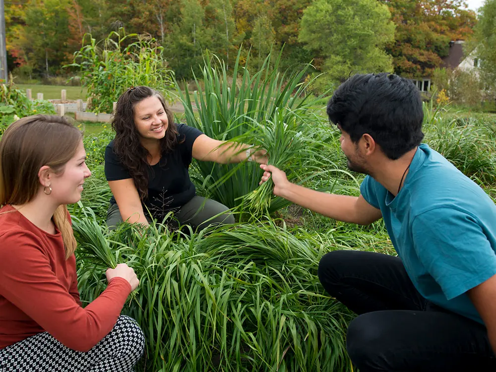 ジョアン・ジョーンズは、シングワック・キノマーゲ・ガミグの先住民薬用植物園で来場者にスウィートグラスを手渡しています。
