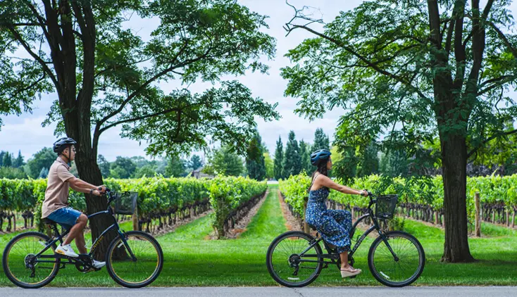 나이아가라 온 더 레이크의 무성한 푸른 나무와 포도밭에 둘러싸인 경치 좋은 포도밭을 여유롭게 자전거로 달리는 두 사람.