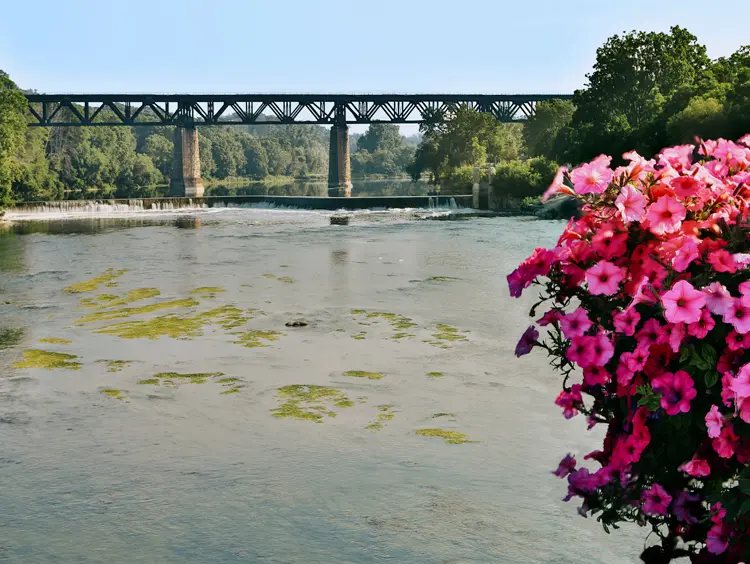  Eisenbahnbrücke über den Grand River in Paris, Ontario, mit blühenden rosa Blumen im Vordergrund und einem sanften Wasserfall in der Ferne.