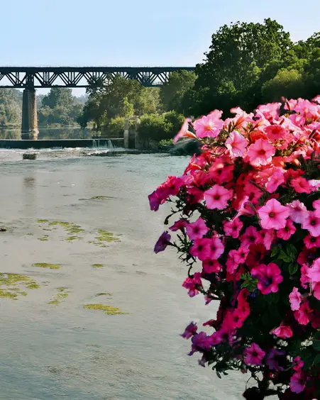  Eisenbahnbrücke über den Grand River in Paris, Ontario, mit blühenden rosa Blumen im Vordergrund und einem sanften Wasserfall in der Ferne.