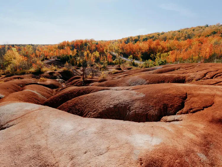 Sanfte rote Lehmhügel der Cheltenham Badlands in Caledon, Ontario, umrahmt von buntem Herbstlaub an einem sonnigen Herbsttag.