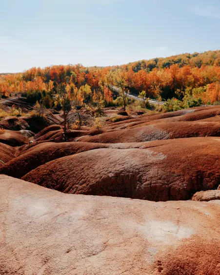 Sanfte rote Lehmhügel der Cheltenham Badlands in Caledon, Ontario, umrahmt von buntem Herbstlaub an einem sonnigen Herbsttag.