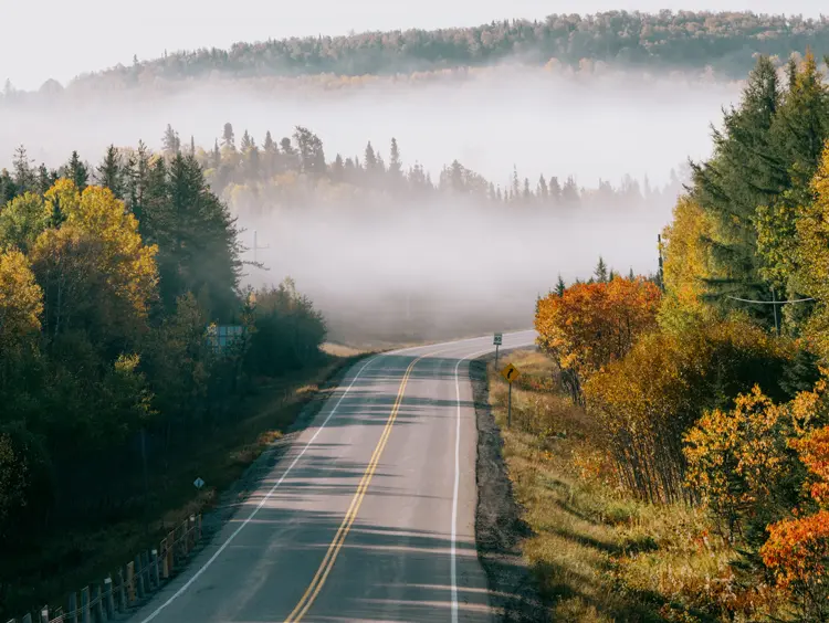 Winding road through a misty forest in Algoma Country, surrounded by early fall foliage and soft morning light.