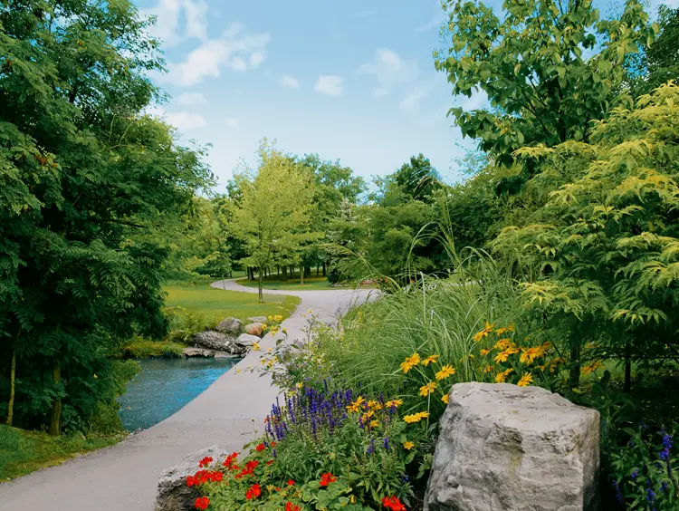 Sentier pédestre pittoresque à Brampton bordé de fleurs estivales, d'arbres et d'un ruisseau sous un ciel bleu éclatant.