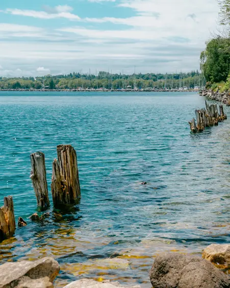 Vieux poteaux de quai en bois émergeant des eaux claires de la baie Georgienne dans la zone de protection de la nature du Rocher Spirit, à Wiarton.
