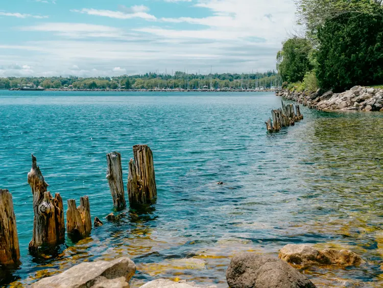 Viejos postes de muelle de madera emergen de las aguas claras y poco profundas de la Bahía Georgiana en el Área de Conservación Spirit Rock, Wiarton, en un soleado día de verano.