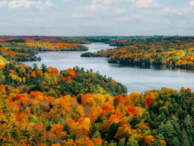 Looking over the Gatineau Hills and Rideau River near Ottawa, bursting with vibrant fall colours and forest-lined shores under a cloudy sky.