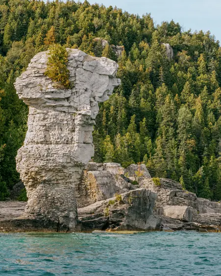 Una enorme formación rocosa con forma de maceta que se eleva desde la costa de la isla Flowerpot en Tobermory, con un acantilado boscoso al fondo.
