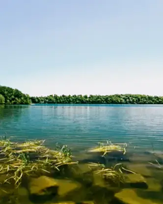  Costa clara en Grass Creek Park Beach, con aguas tranquilas y una exuberante línea de árboles bajo un intenso cielo azul de verano.
