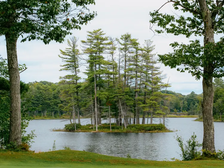 Pequeña isla cubierta de árboles que se refleja en las tranquilas aguas de Roseneath, Ontario, rodeada de un denso bosque y enmarcada por árboles altos.