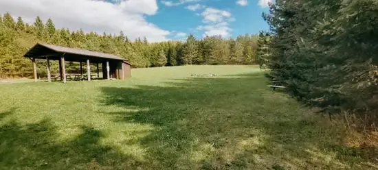 Aire gazonnée entourée d’arbres avec un abri en bois et des tables de pique-nique à Souls Path Retreats, à Blackstock, en Ontario.
