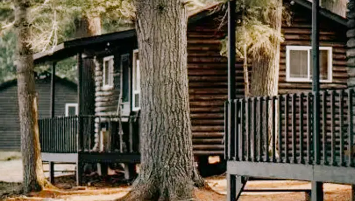 아누파야 캐빈 컴퍼니의 키 큰 소나무 사이에 자리 잡은 소박한 나무 오두막에는 그늘진 현관과 숲 바닥으로 쏟아지는 햇살이 있습니다.