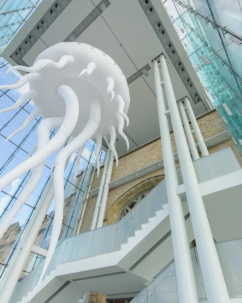 Ausstellung einer Riesenqualle im Canadian Museum of Nature in Ottawa.