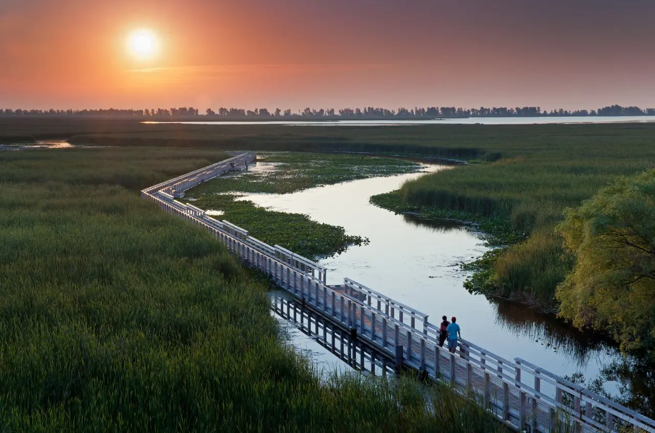 Zwei Menschen gehen über den Sumpfsteg im Point Pelee Nationalpark, während die Sonne am Horizont untergeht.