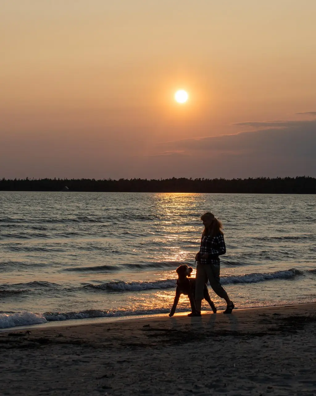 美しいオレンジ色の太陽が水面に沈む中、女性と犬が砂浜を歩いています。