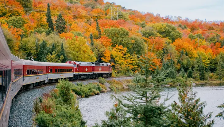 The Agawa Canyon Tour Train curves along train tracks alongside a lake and past a forest of fall colours.