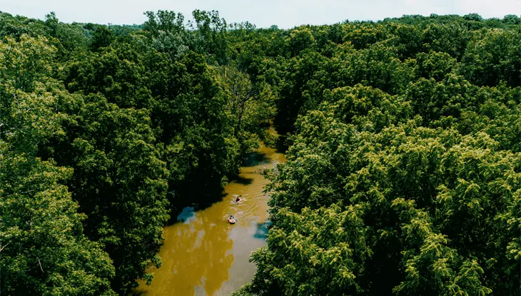 Une rivière sinueuse aux eaux troubles dans une forêt verte luxuriante, sous un ciel partiellement ennuagé.