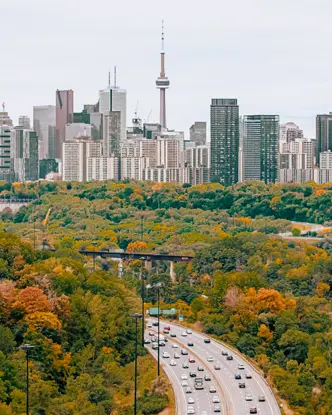 Cityscape view of a highway leading towards the Toronto skyline surrounded by forest with fall foliage.