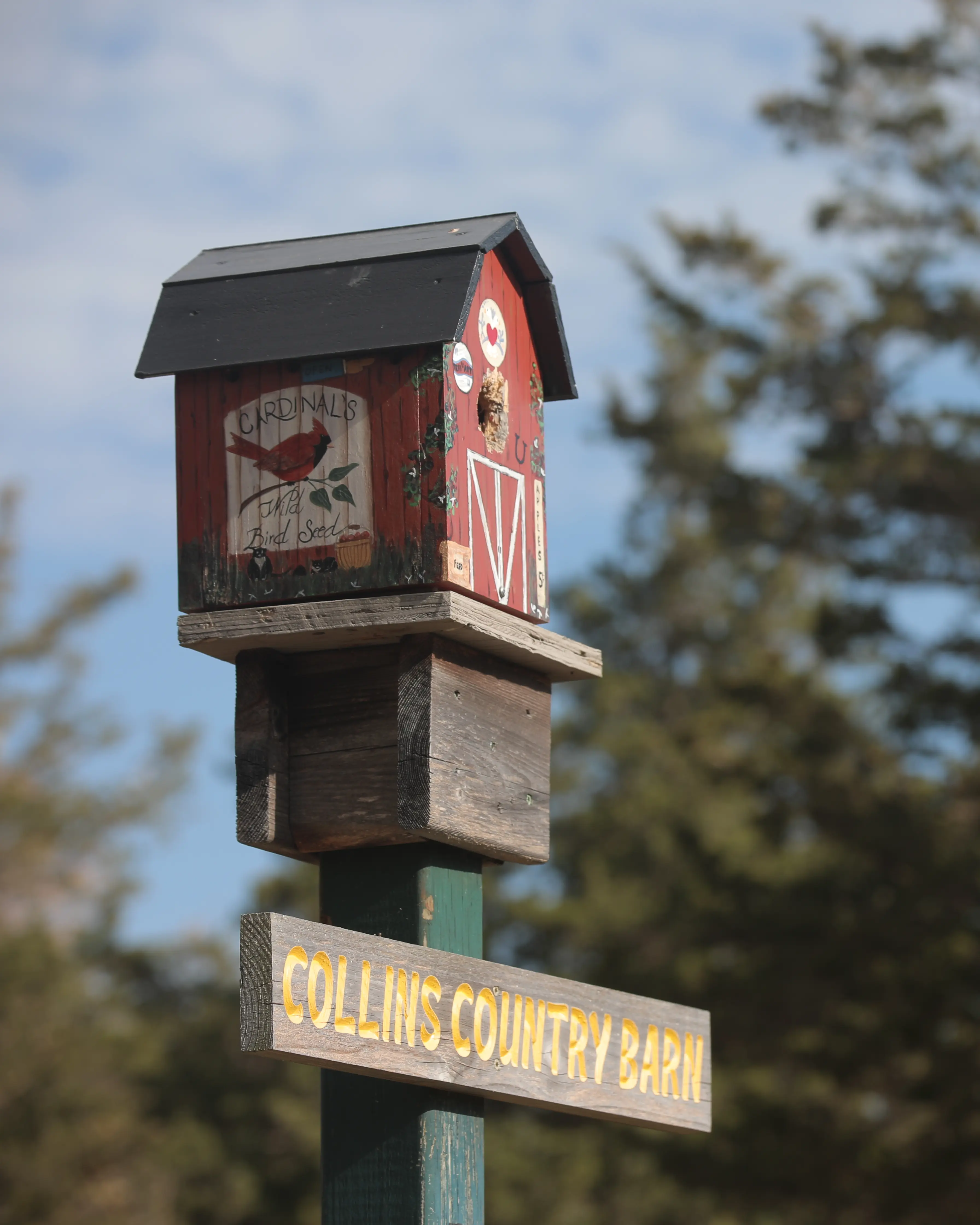Nichoirs à Birdhouse City dans le comté de Prince Edward