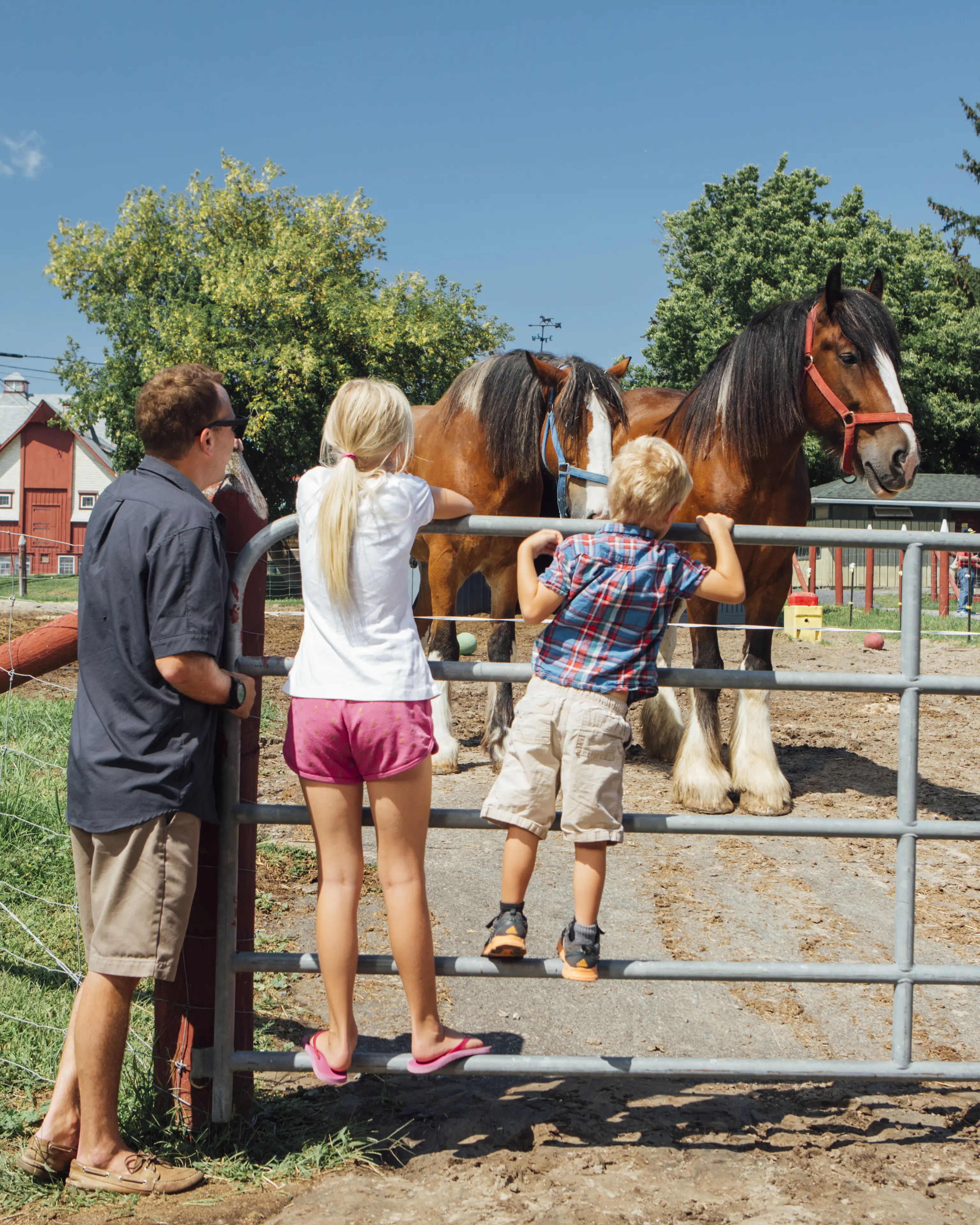 A family watching a horse outside the fence at Canada Agriculture and Food Museum