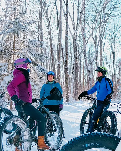 Eine Gruppe von Menschen fährt mit Fatbikes durch einen verschneiten Waldweg.