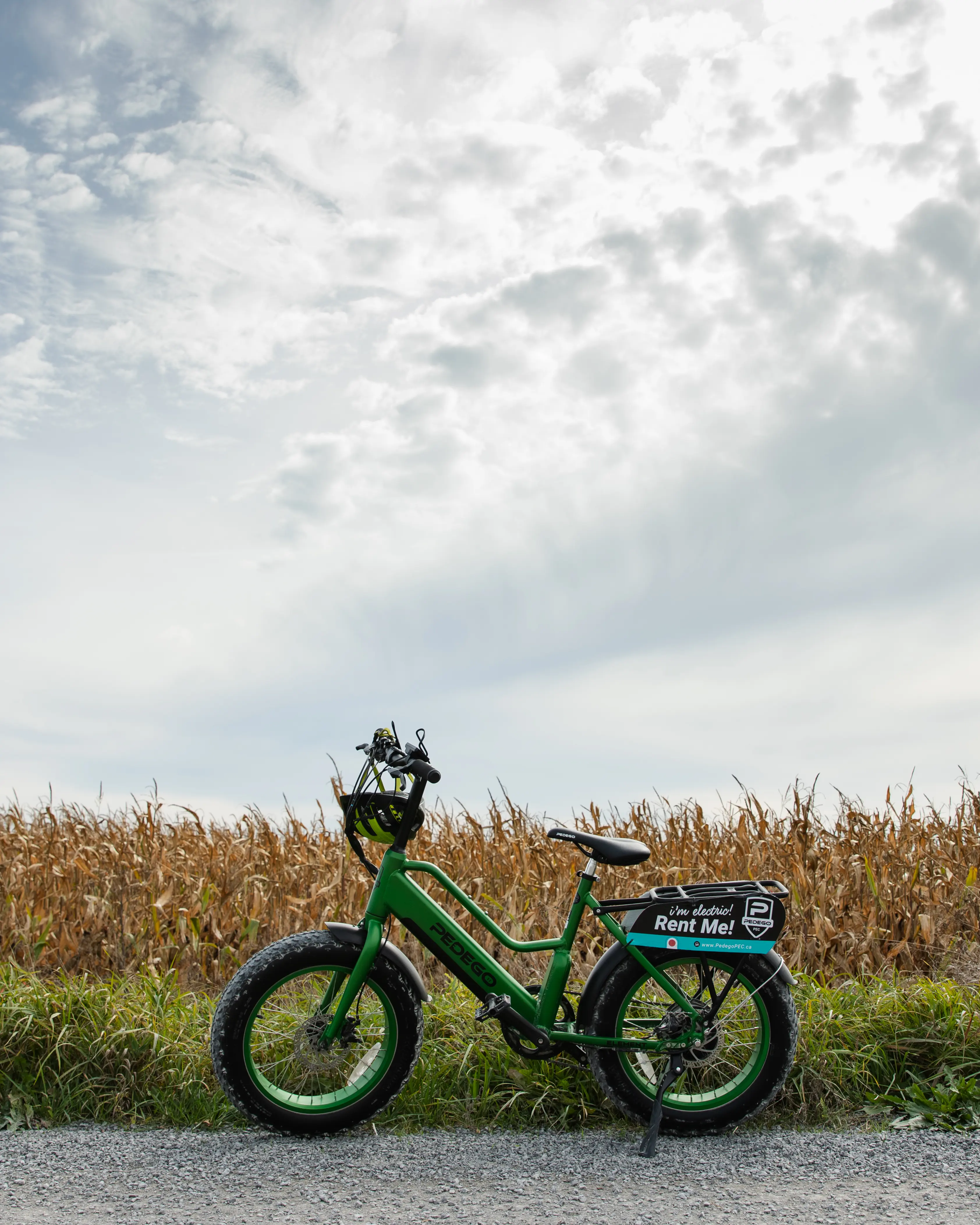 A bike standing on the Millennium Trail
