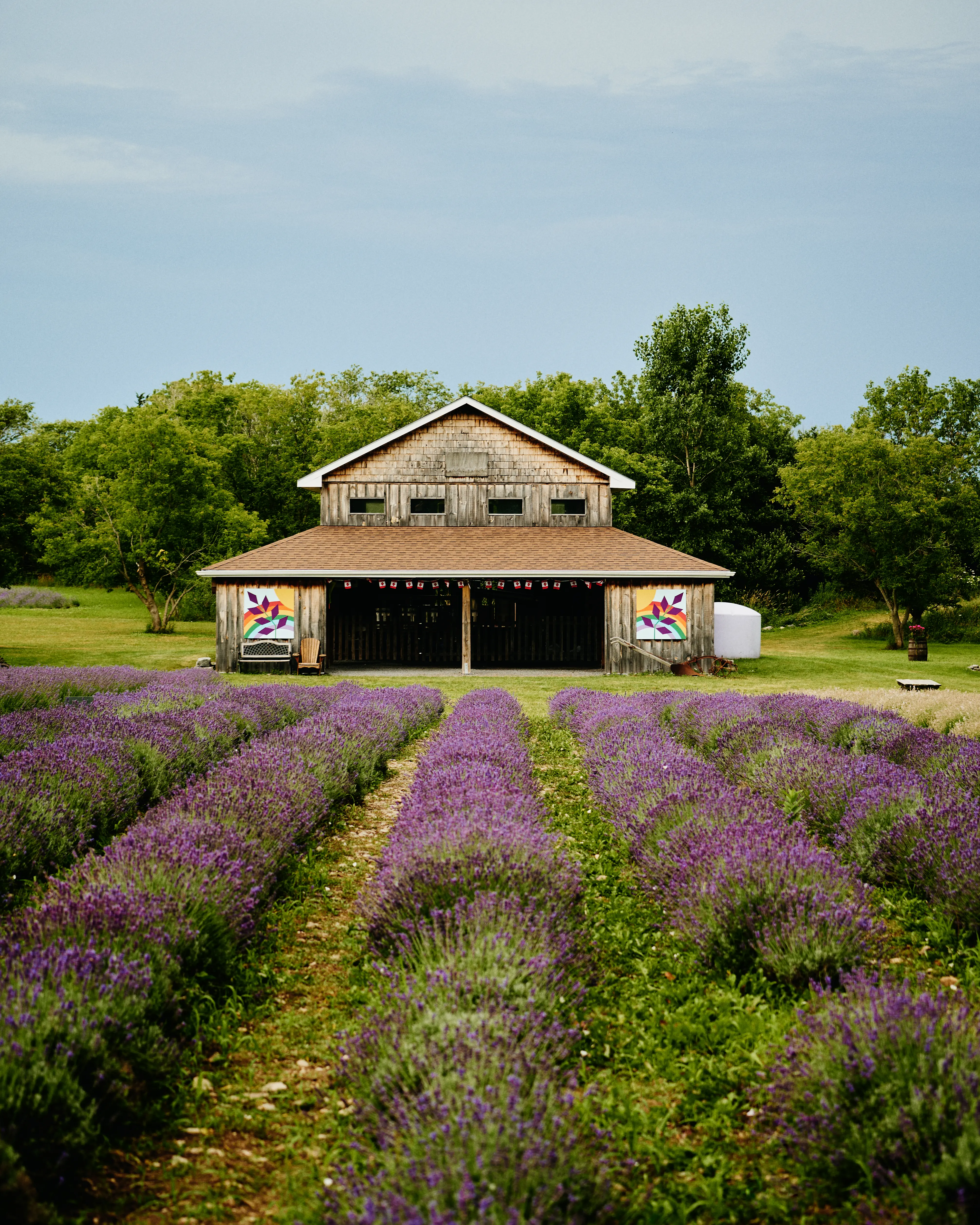 Une maison et la ferme de lavande de PEC Lavender Farm
