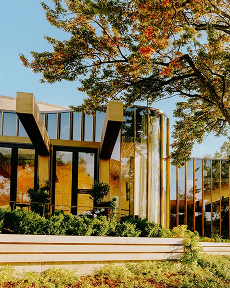 Modern theatre building with a glass facade beside a large leafy tree.