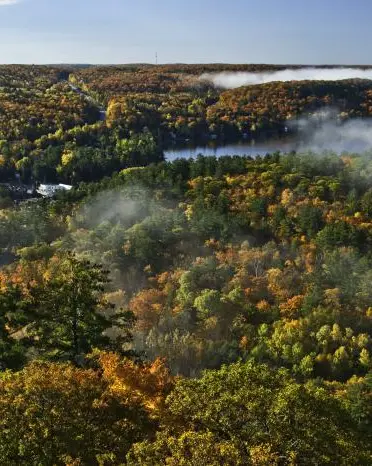 Blick vom Turm auf den herbstlich gefärbten Wald.