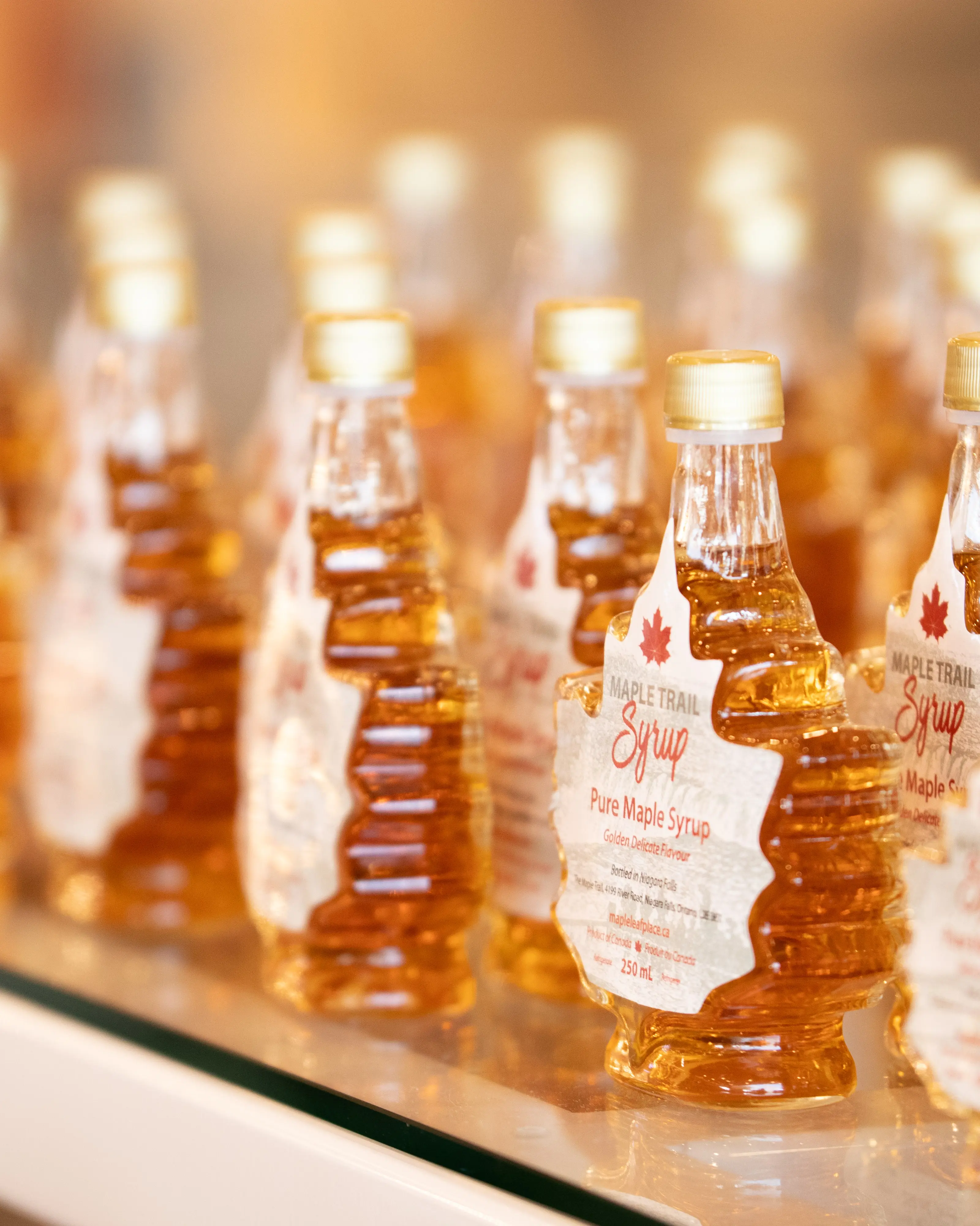 Une exposition de bouteilles de sirop d'érable à Maple Leaf Place.