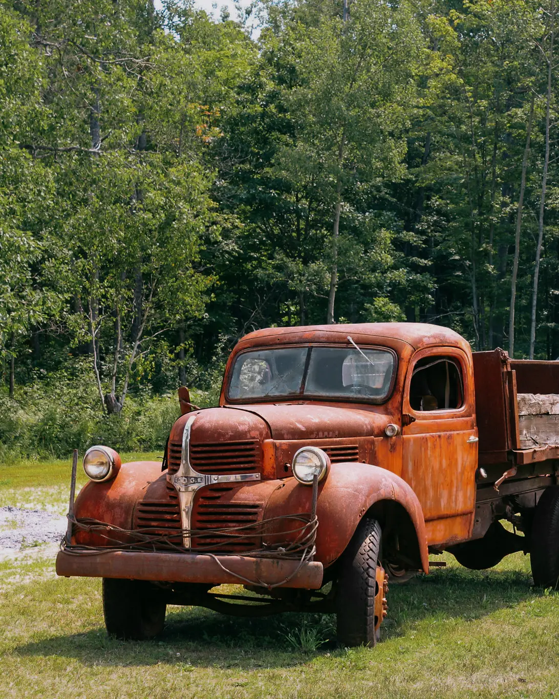 A truck on the grass field at Johnston’s Cranberry Marsh.