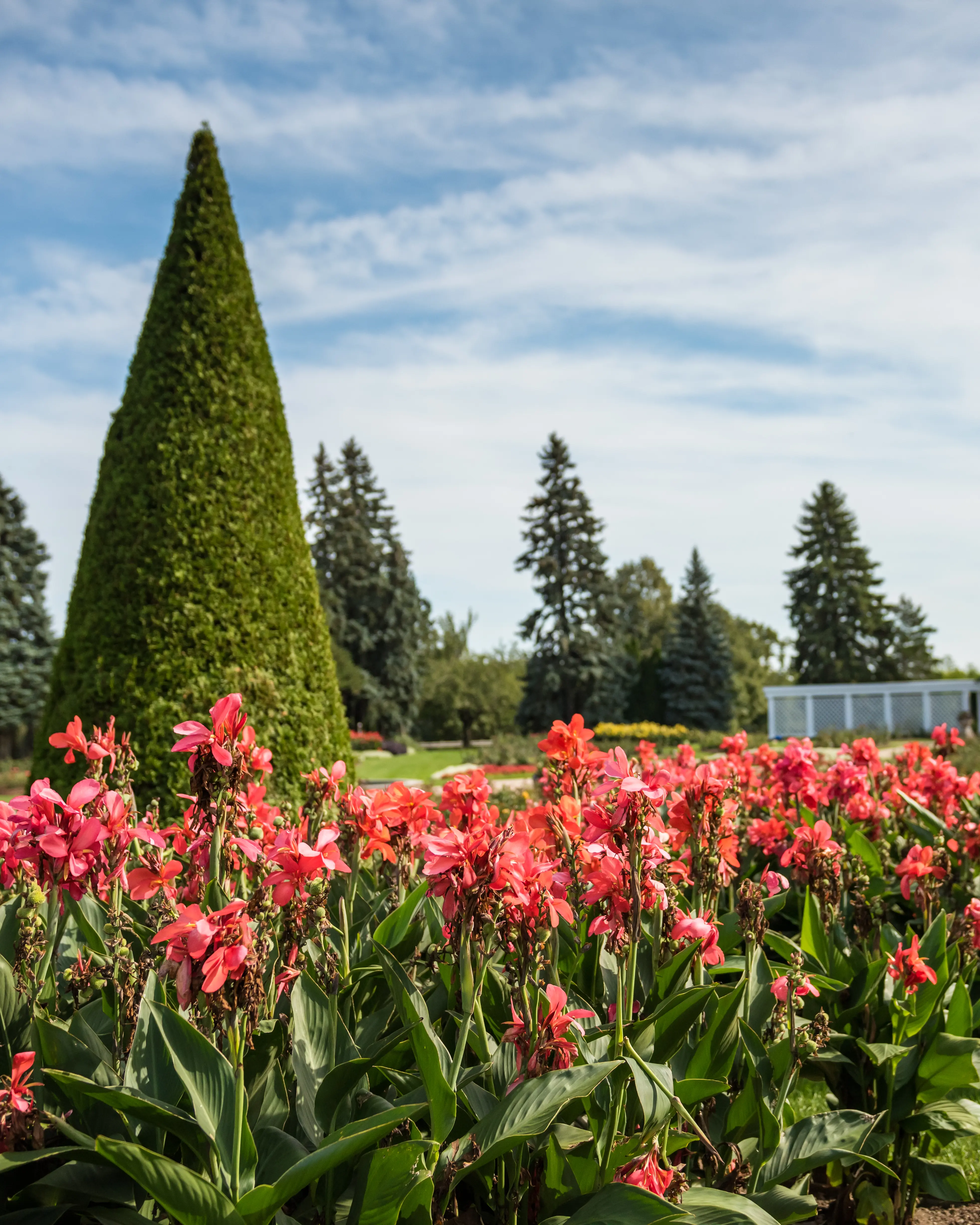 ナイアガラ・パークス植物園の花々。