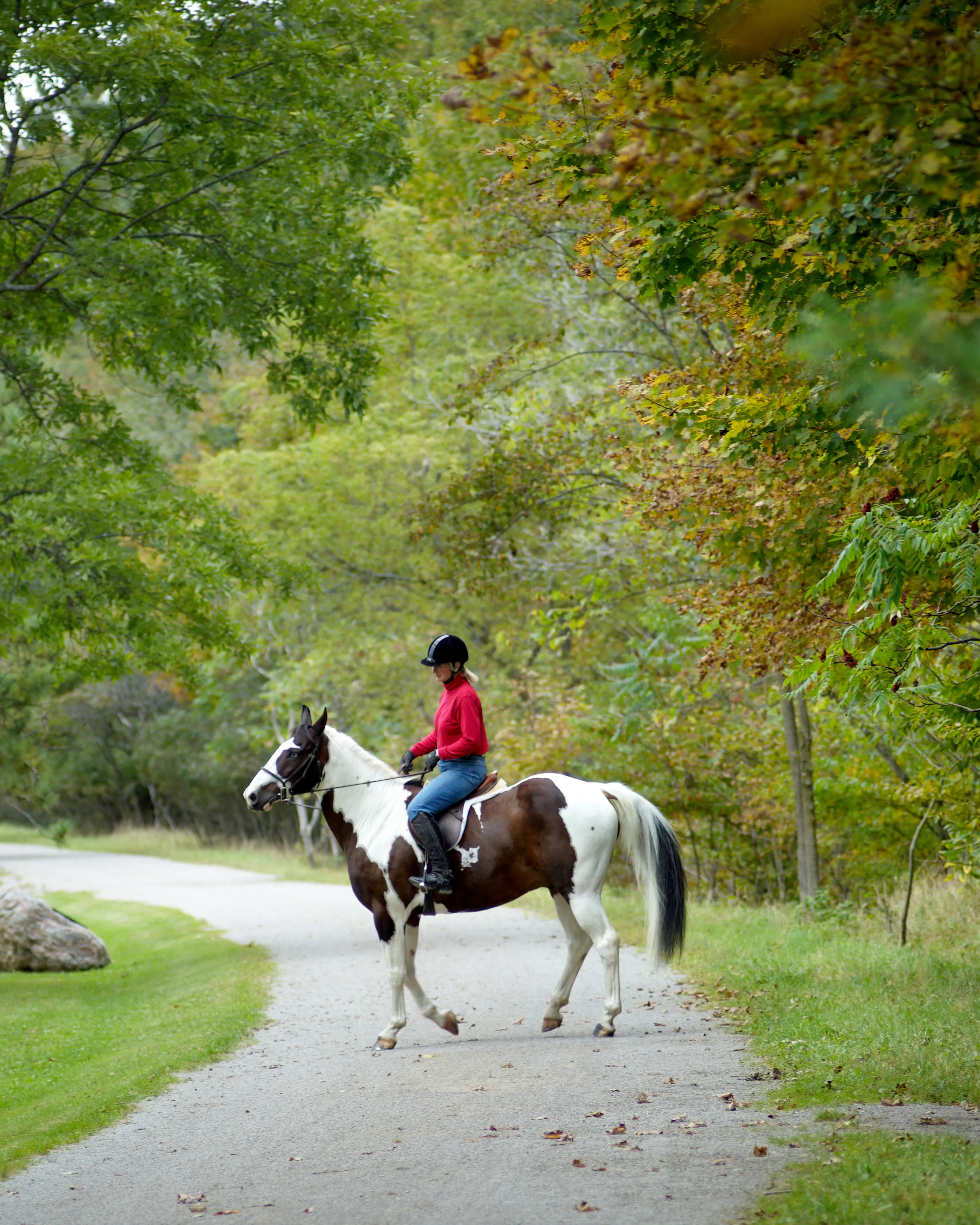 Une femme à cheval le long du sentier ferroviaire Hamilton-Brantford.