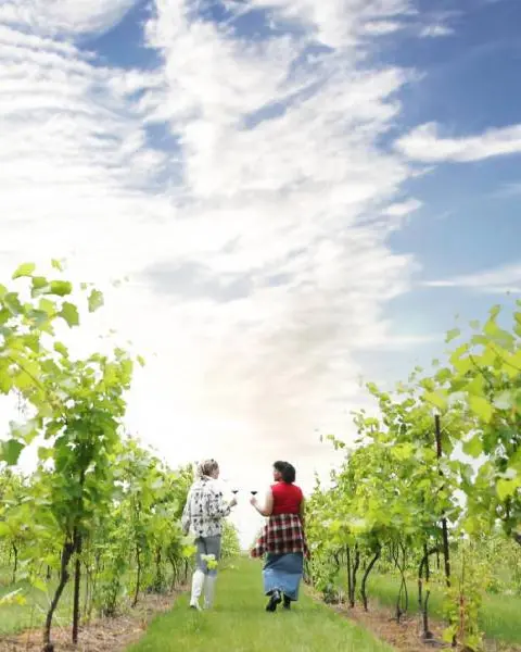 Dos mujeres pasean entre exuberantes viñedos, cada una con una copa de vino, en un hermoso día soleado.
