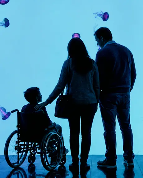 Familia con un niño en silla de ruedas observando la exhibición de medusas en el Acuario Ripley de Canadá en Toronto.