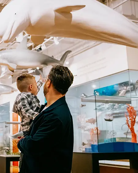 トロントのロイヤル・オンタリオ博物館で、吊り下げられたクジラや海洋生物の模型が展示されている海洋生物ギャラリーを見学する家族。