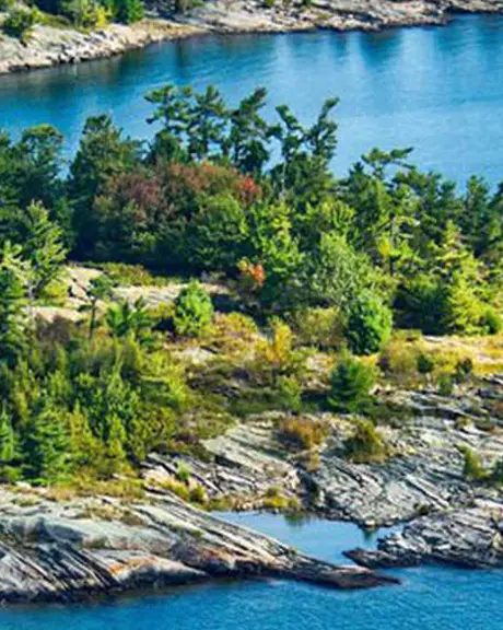 Forêt verte et riche sur les îles rocheuses et le rivage de la baie Georgienne.