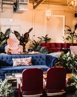 Petite table beige placée entre un canapé bleu et deux fauteuils rouges, le tout entouré de plusieurs plantes d’intérieur.