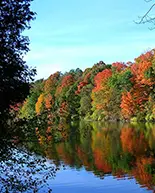 Rive bordée d’arbres aux teintes automnales de rouge, d’orange et de vert se reflétant dans un lac sous un ciel bleu.