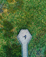 Vue aérienne d’une personne allongée sur un quai hexagonal en bois entouré d’un étang couvert de nénuphars.