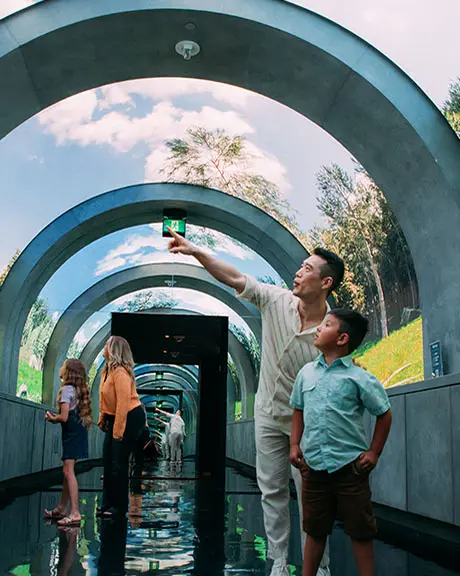 Visitors admire the projected display in the tunnel.