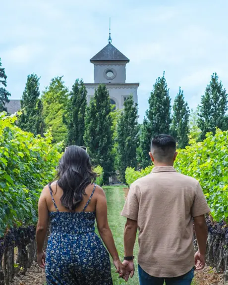 Una pareja camina por un viñedo en Two Sisters Winery en Niagara-on-the-Lake.